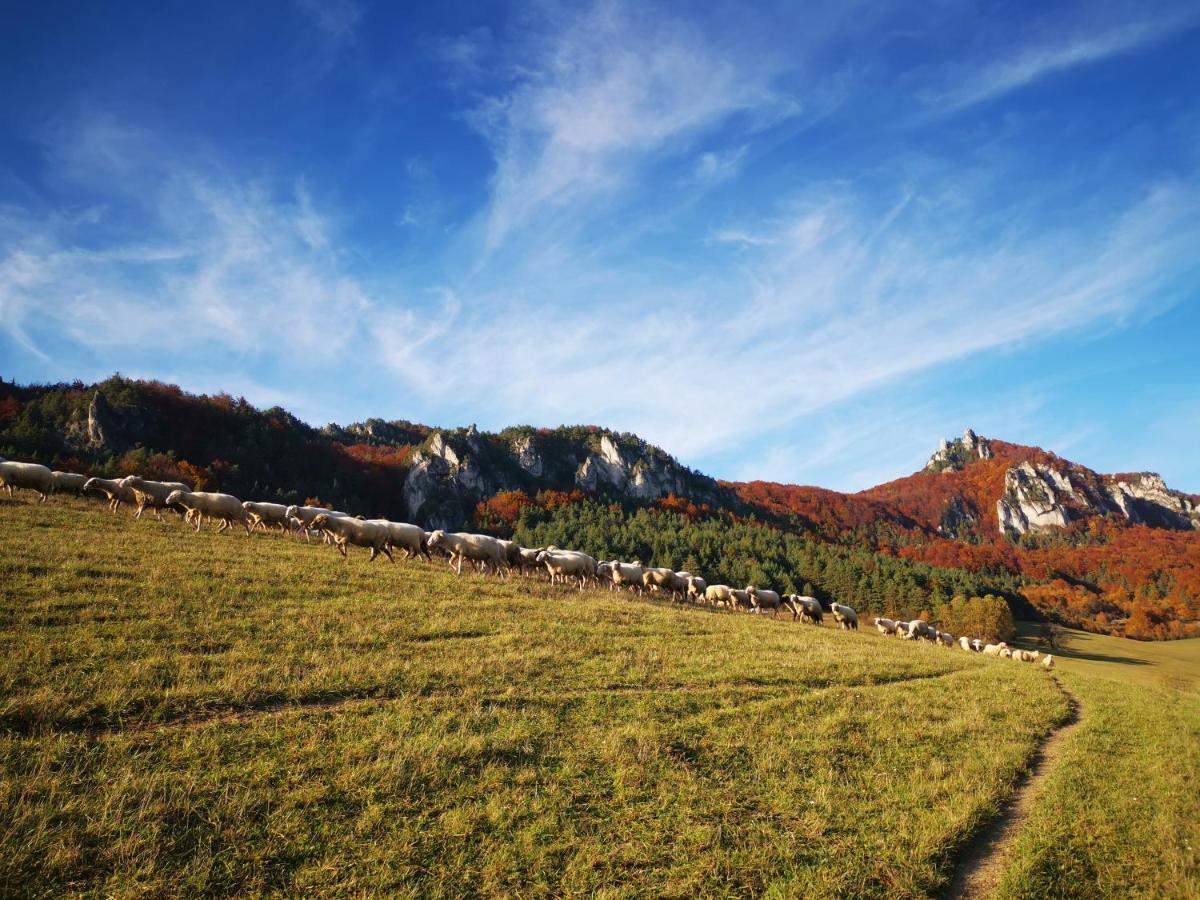 Koliba Pod Skalami Villa Sulov Bagian luar foto